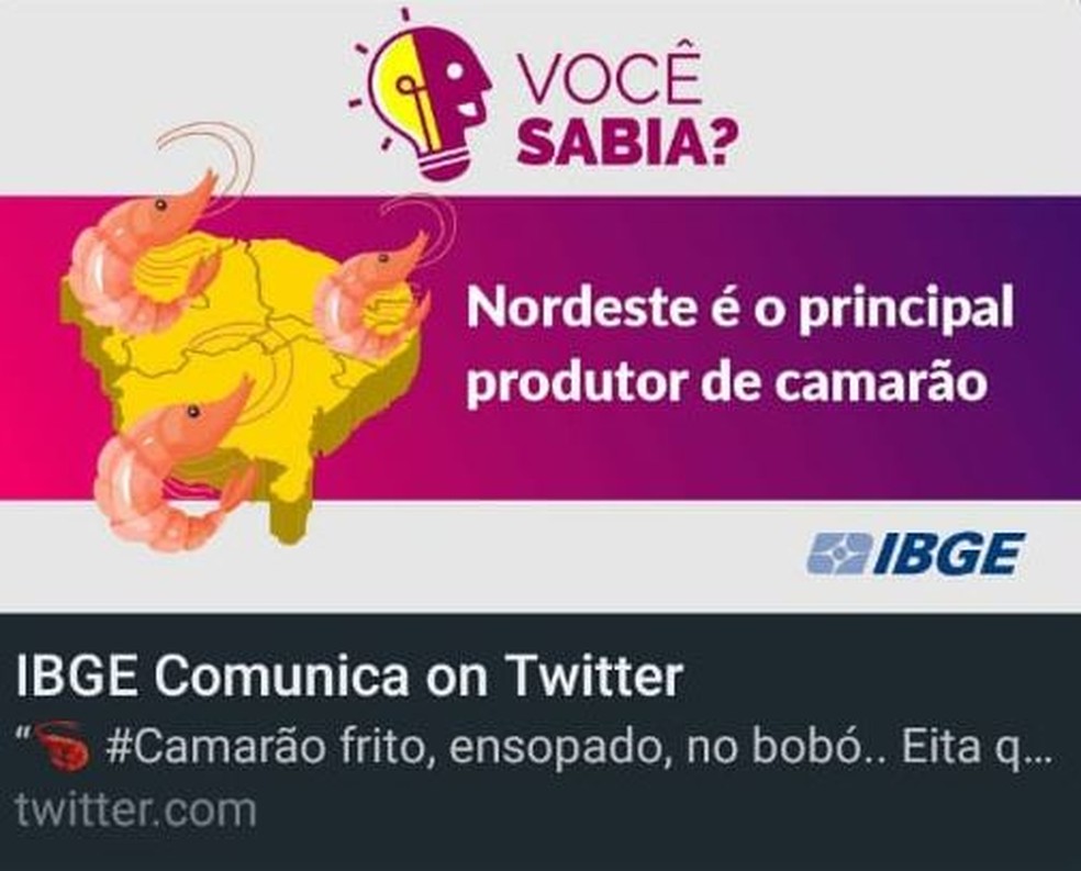 IBGE apaga post exaltando camarão feito no dia em que Bolsonaro revelou que crustáceo causou internação