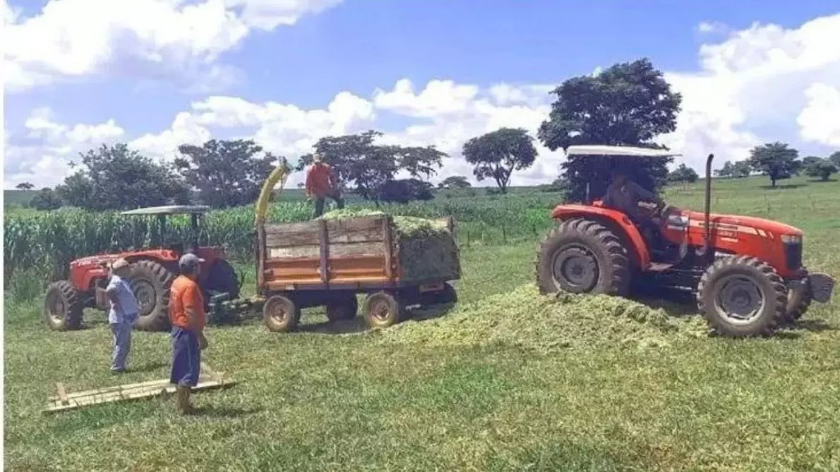 Agraer-MS recebe 363 máquinas agrícolas para distribuir a cidades de MS