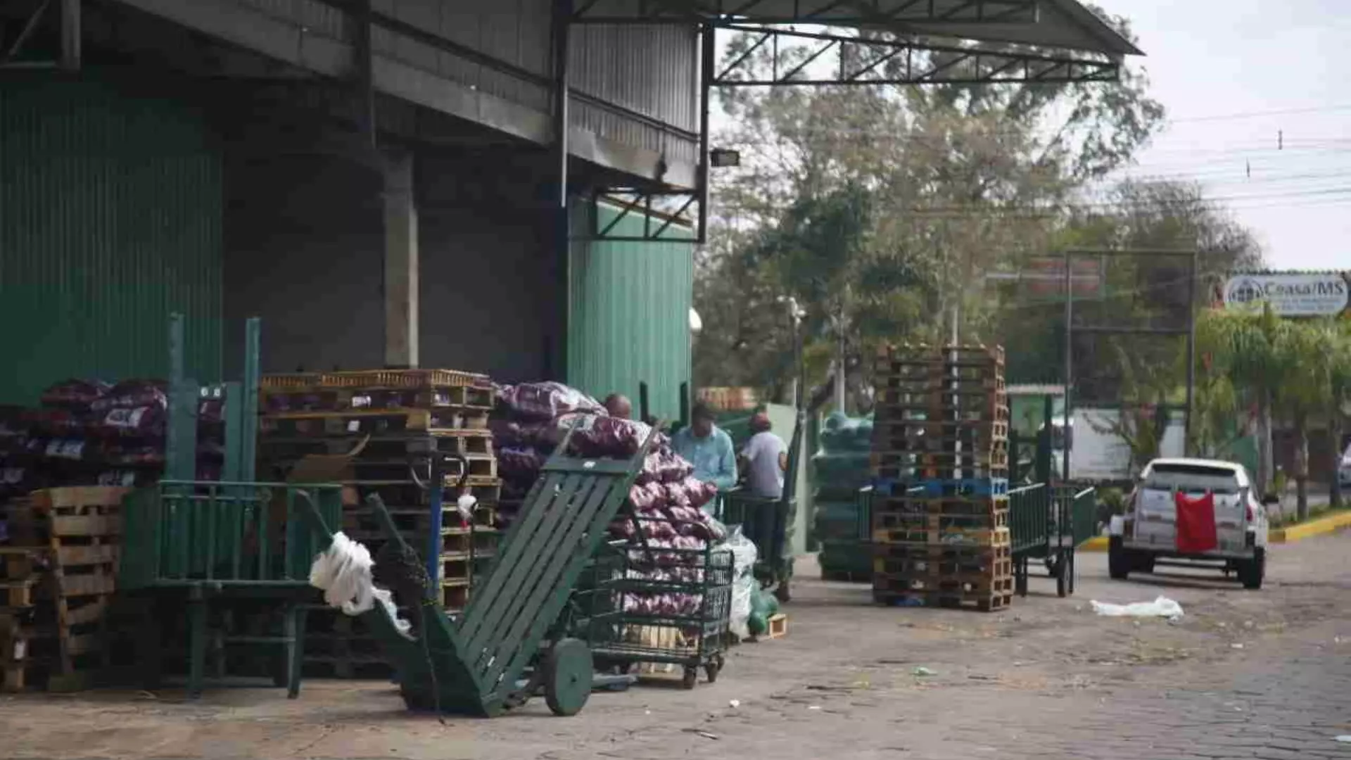 Bloqueios em rodovias causam desabastecimento no Ceasa-MS; batata tem alta de até 62%