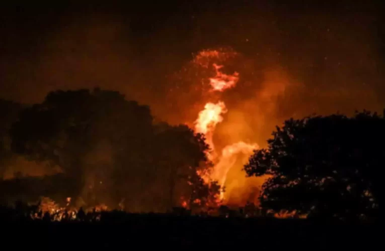 Incêndio engole vegetação às margens da rodovia BR-163 – CREDITO: CAMPO GRANDE NEWS