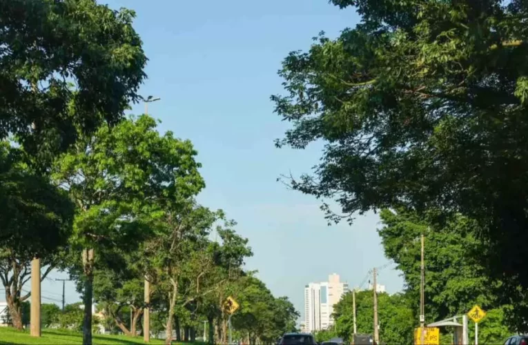 Quinta-feira será de tempo firme e máxima de 33°C em Mato Grosso do Sul