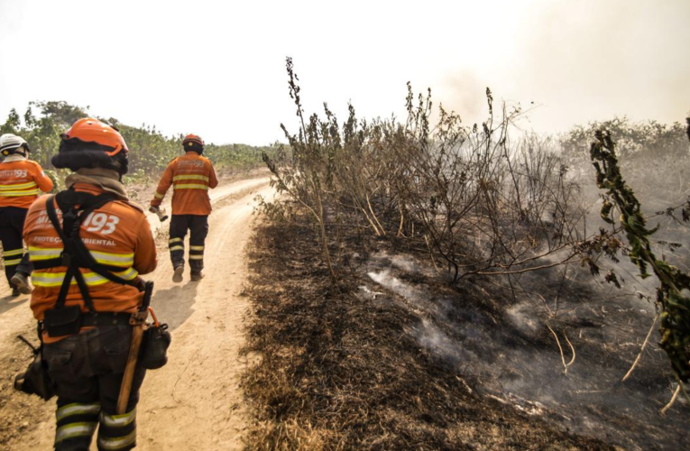 Mesmo com incêndios controlados no Pantanal, governo Lula prorroga estado de emergência