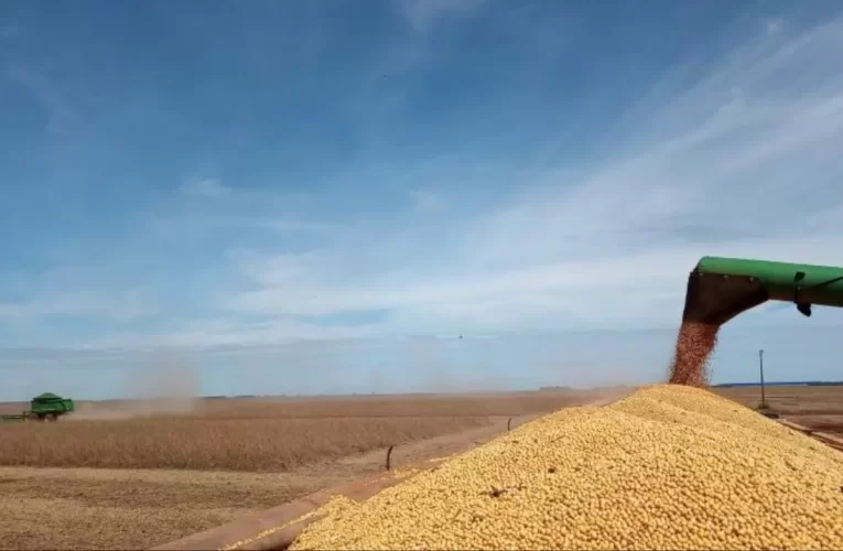 IBGE: Produção de grãos cresce 24,1% em Mato Grosso do Sul em outubro